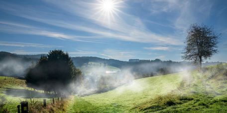 Nebel rollt am Morgen über Wiesen und Auen