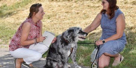 Patienten darf ihren Hund in die Reha mitbringen