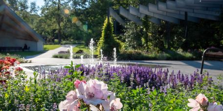 Blumen blühen im Kurpark Reichshof