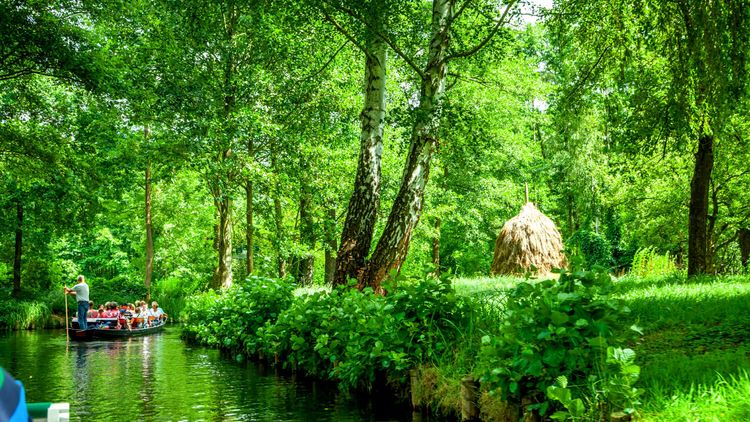 Kanufahrt im Spreewald